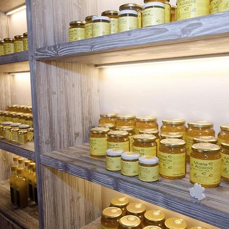 Agriturismo Due Comuni 산 게르바시오 외부 사진