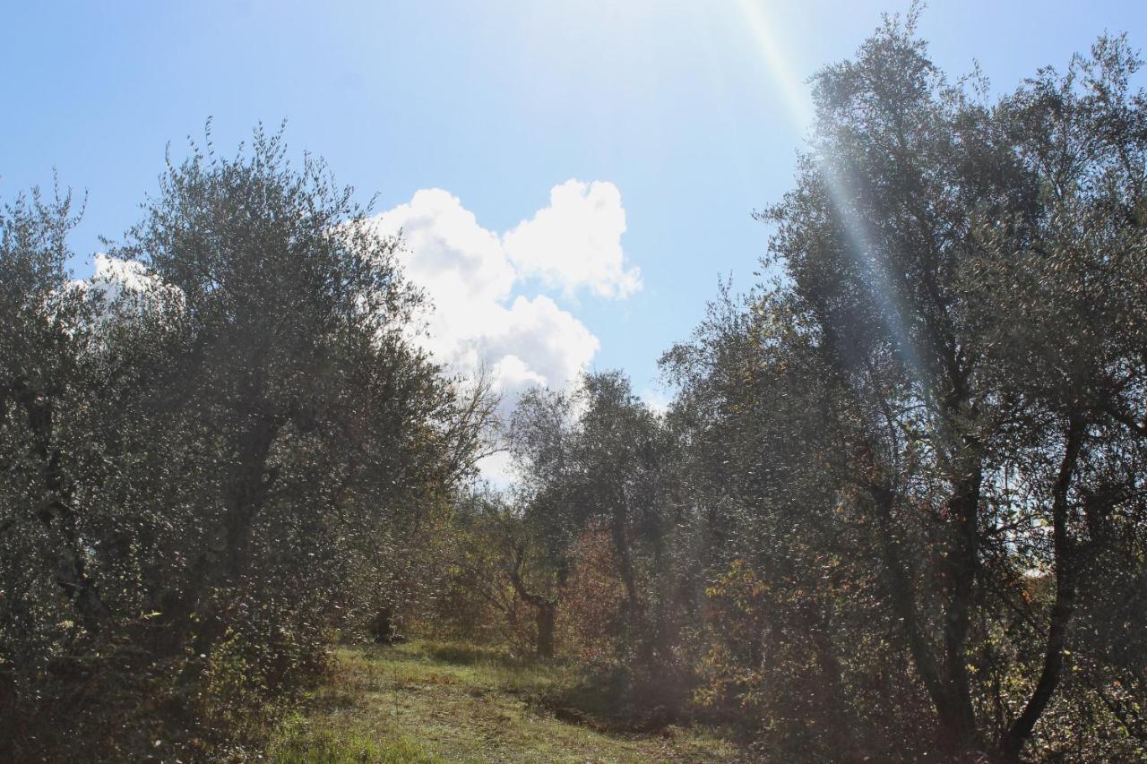 Agriturismo Due Comuni 산 게르바시오 외부 사진